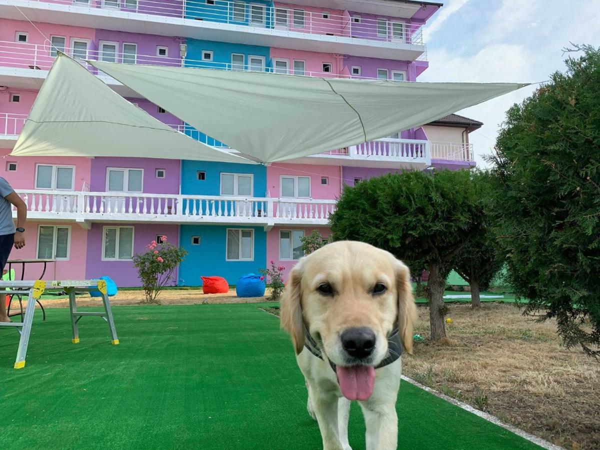 Casa Barbie Costinesti Pansiyon Dış mekan fotoğraf